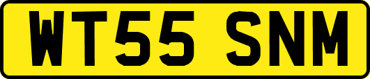WT55SNM