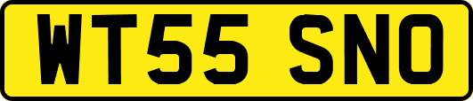 WT55SNO