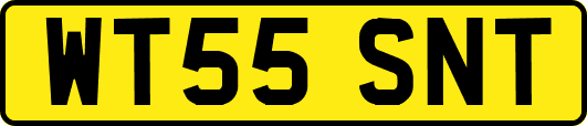 WT55SNT