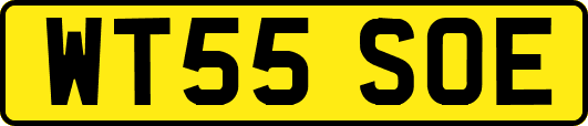 WT55SOE