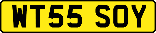WT55SOY