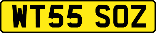 WT55SOZ
