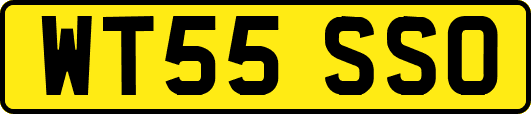 WT55SSO