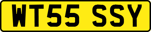WT55SSY