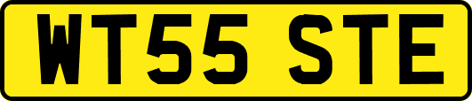 WT55STE