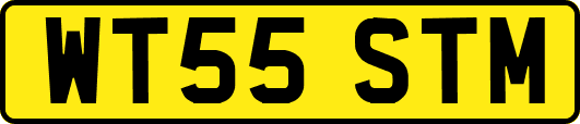 WT55STM