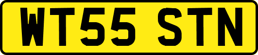 WT55STN