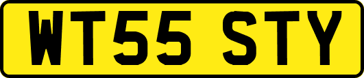 WT55STY