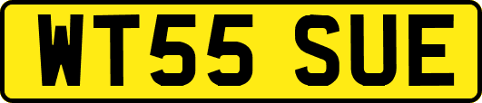 WT55SUE