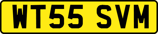WT55SVM