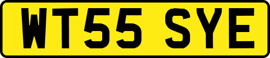 WT55SYE