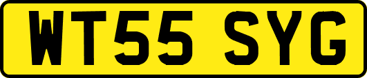 WT55SYG