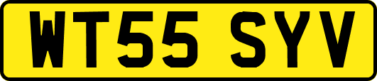 WT55SYV