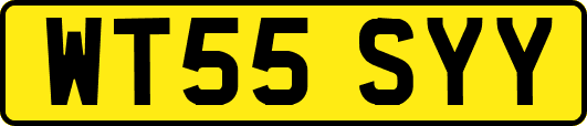 WT55SYY