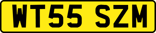 WT55SZM