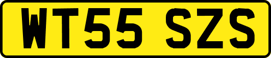 WT55SZS