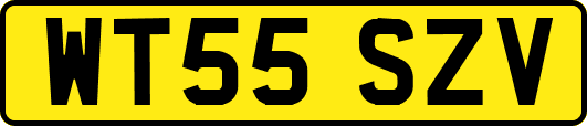 WT55SZV