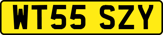 WT55SZY