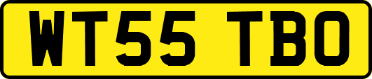 WT55TBO