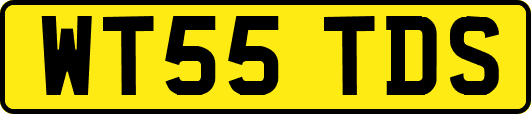 WT55TDS