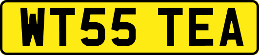 WT55TEA