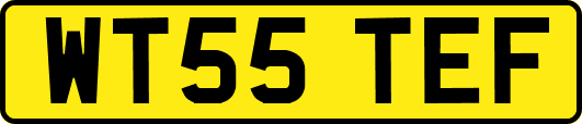 WT55TEF