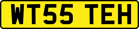 WT55TEH