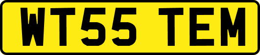 WT55TEM