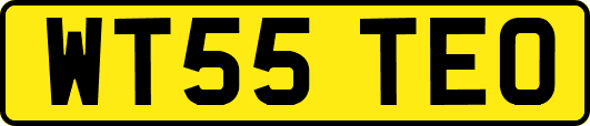 WT55TEO
