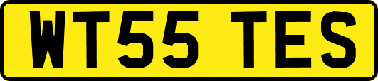 WT55TES