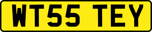 WT55TEY