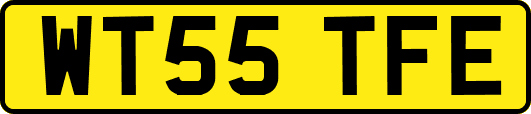 WT55TFE