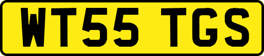 WT55TGS
