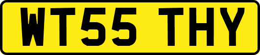 WT55THY