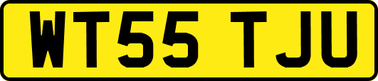 WT55TJU
