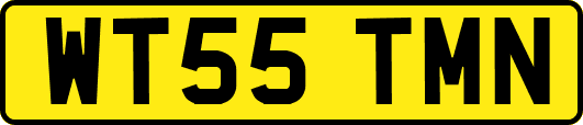 WT55TMN