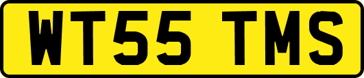 WT55TMS