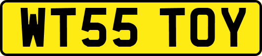 WT55TOY