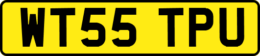 WT55TPU
