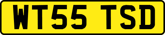 WT55TSD