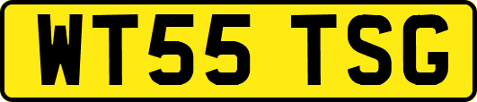 WT55TSG