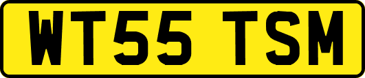 WT55TSM