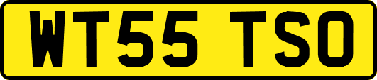 WT55TSO