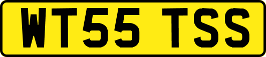 WT55TSS