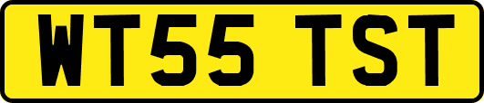 WT55TST
