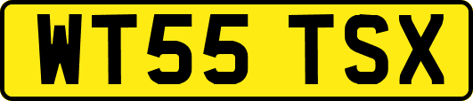 WT55TSX
