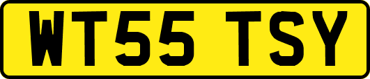 WT55TSY