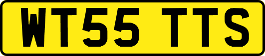 WT55TTS