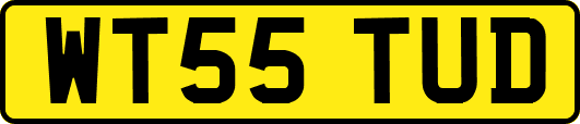 WT55TUD