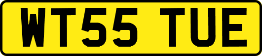 WT55TUE